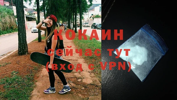 кокс Богородицк