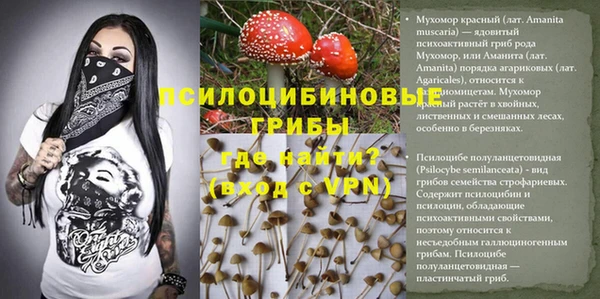 дживик Богородск