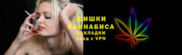 дживик Богородск