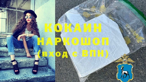 дживик Богородск