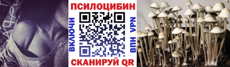 где купить наркотик  Княгинино  Галлюциногенные грибы ЛСД 